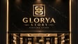 شعار جلوريا ستوري GLORYA STORY